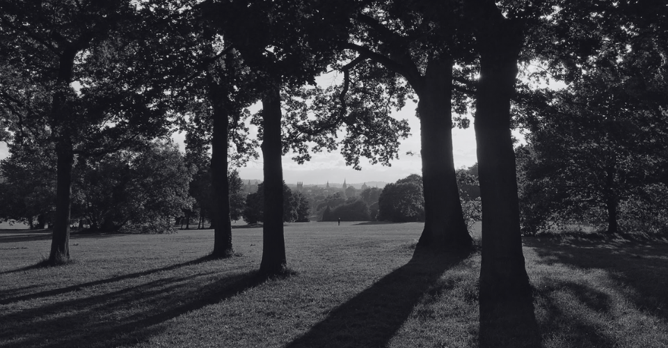 Trees in South Parks, Oxford with a view of the dreaming spires